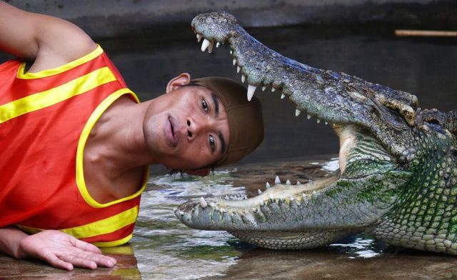 Daily picdump (138 pics)
