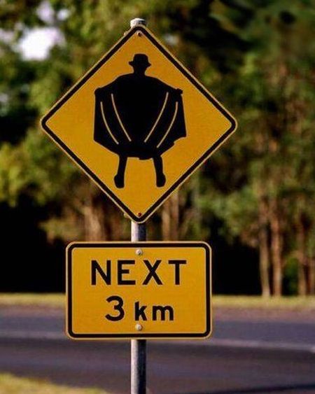 Daily picdump (138 pics)