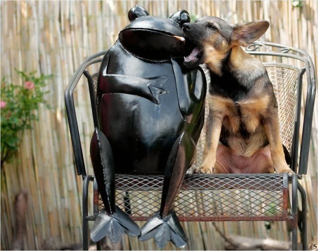 Daily picdump (138 pics)