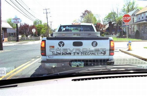 Daily picdump (138 pics)