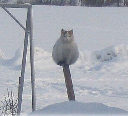 Daily picdump (138 pics)