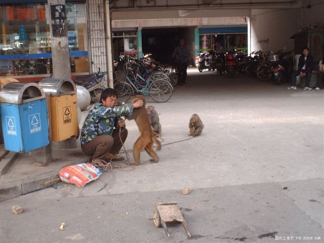 Daily picdump (138 pics)