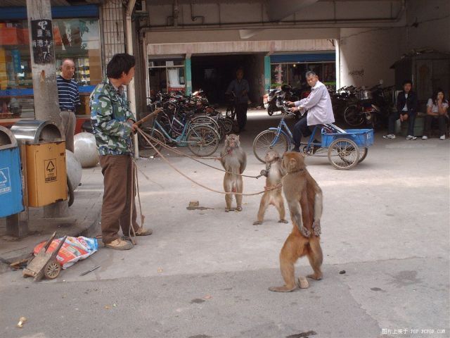 Daily picdump (138 pics)