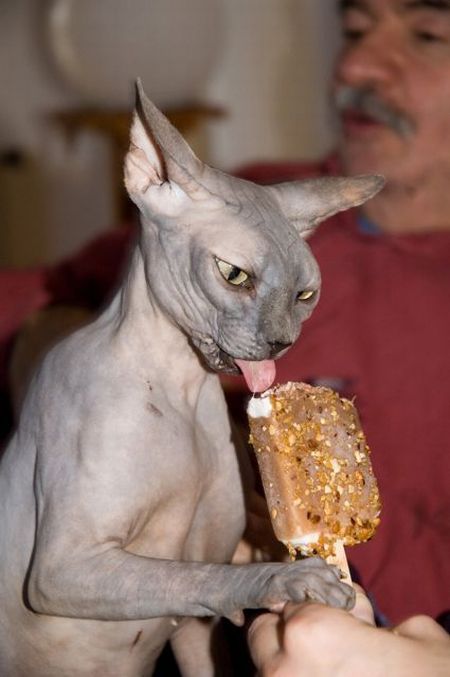 Daily picdump (138 pics)