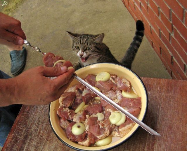 Daily picdump (138 pics)