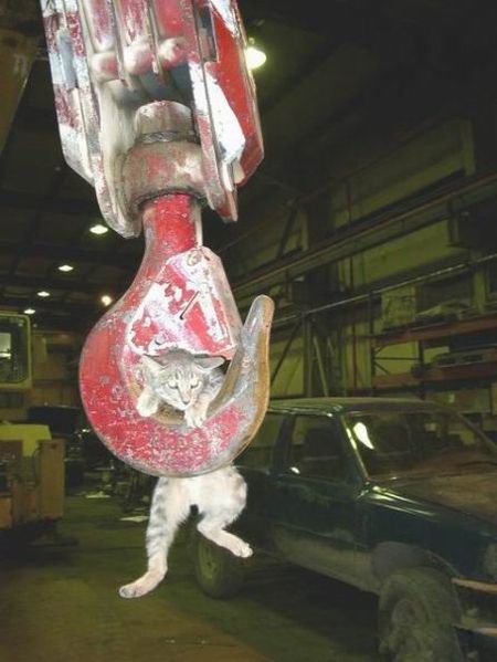 Daily picdump (138 pics)