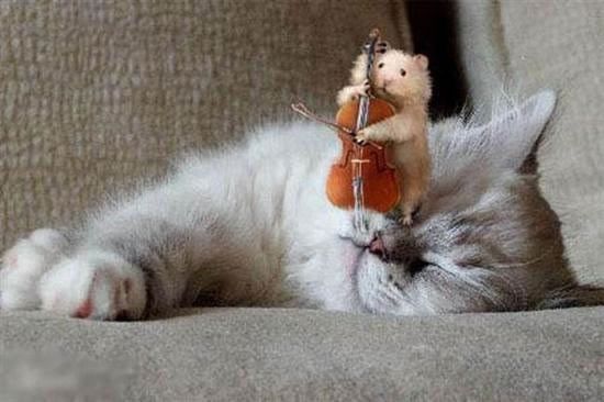 Daily picdump (138 pics)