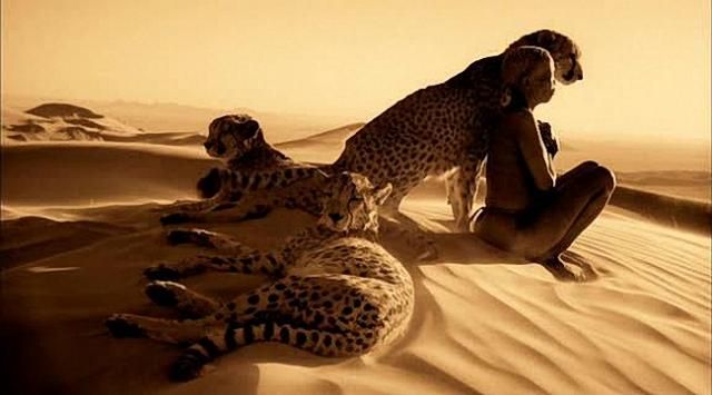In Touch with Nature (48 pics)