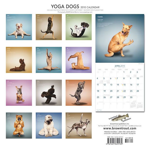 Weird ‘Yoga Dogs’ Calendar! (28 pics)