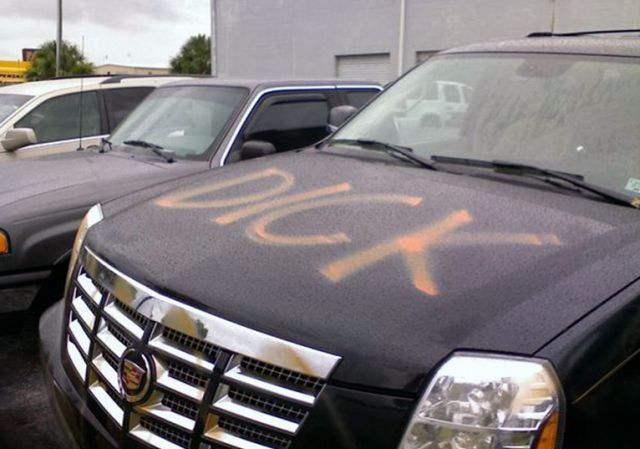 Revenge in American Style (5 pics)