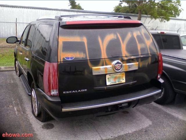 Revenge in American Style (5 pics)