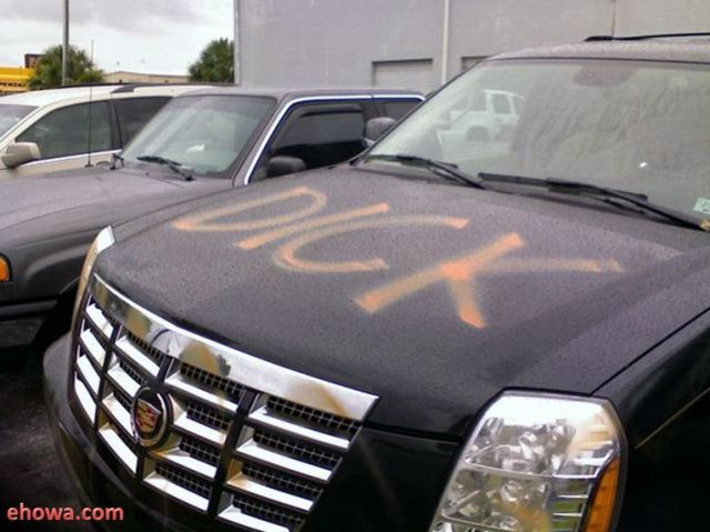 Revenge in American Style (5 pics)
