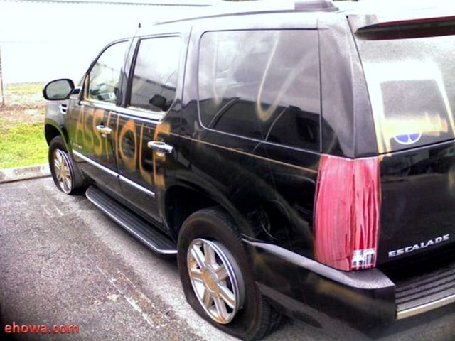 Revenge in American Style (5 pics)