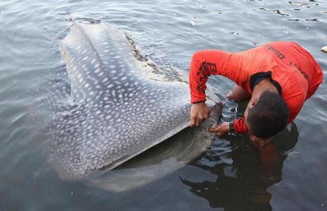Daily picdump (112 pics)