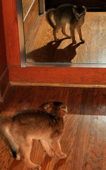 Daily picdump (112 pics)