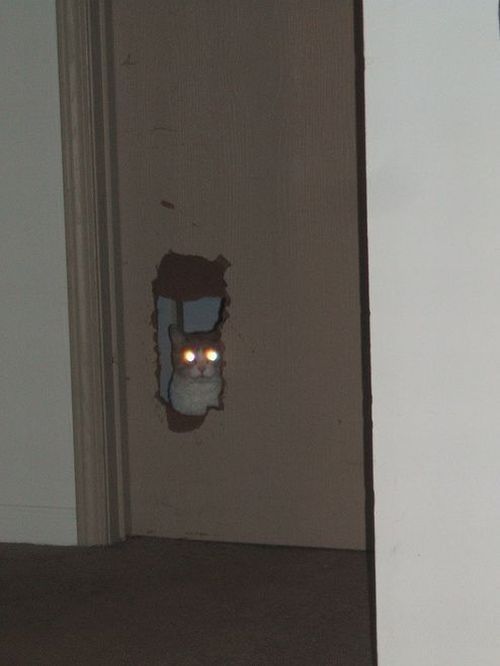 Daily picdump (112 pics)