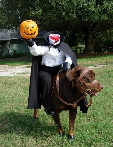 Daily picdump (112 pics)