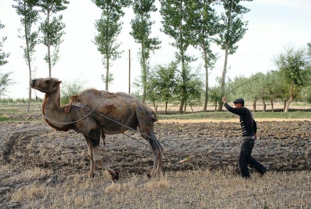 Daily picdump (112 pics)