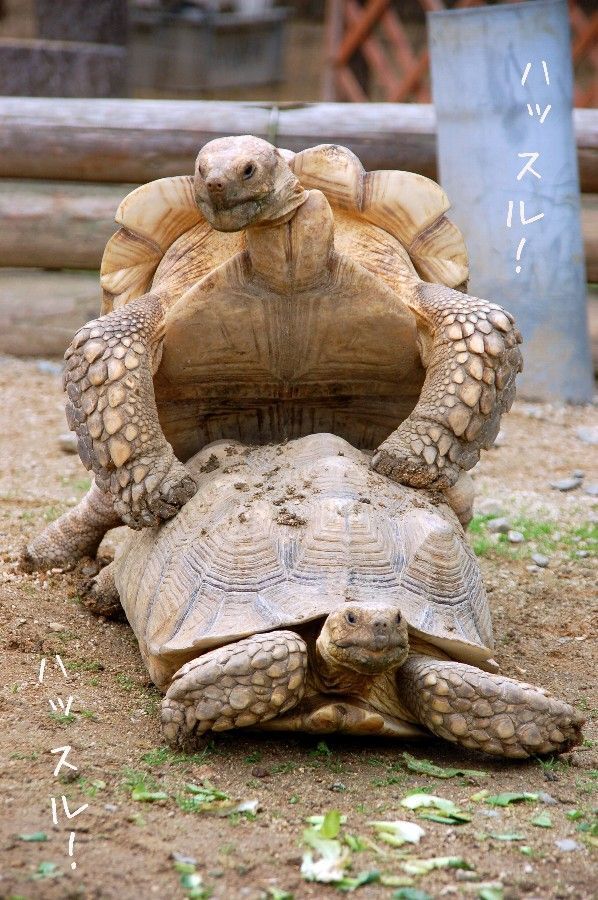 Daily picdump (112 pics)