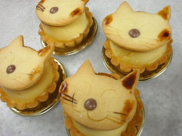 Daily picdump (112 pics)