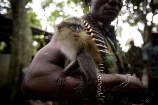 Modern Robin Hoods in Niger Delta (40 pics)
