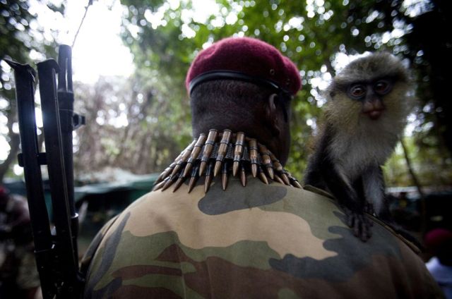 Modern Robin Hoods in Niger Delta (40 pics)