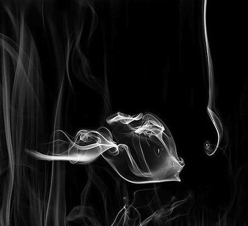 Art with Smoke. Stunning pictures (15 pics)