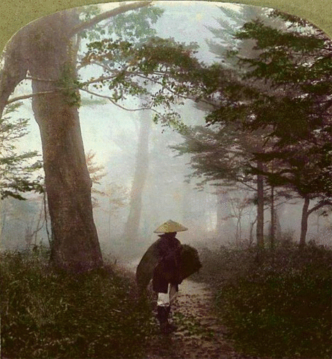 3D Stereoviews of Old Japan (20 pics)