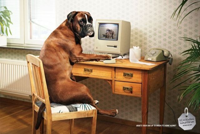 Daily picdump (127 pics)