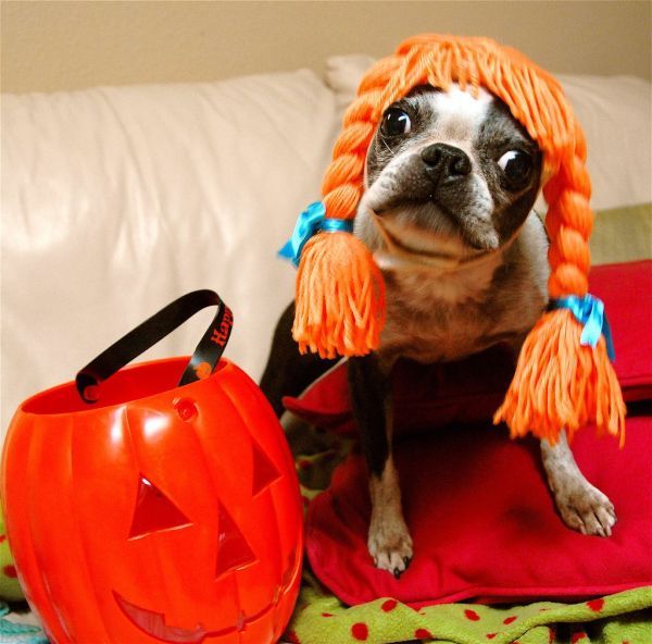 Happy Halloween 2009! (85 pics)