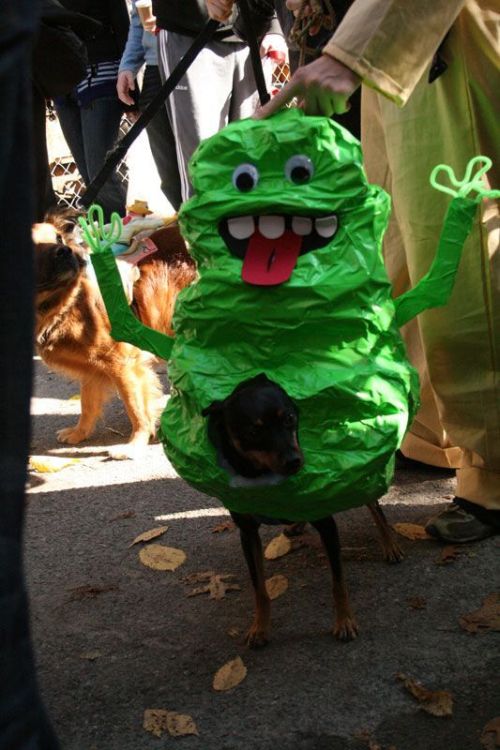 Happy Halloween 2009! (85 pics)