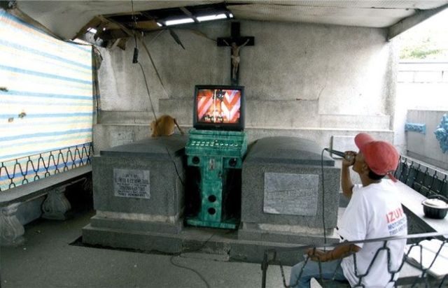 Life in the Cemetery (19 pics)