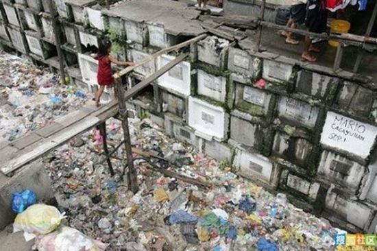 Life in the Cemetery (19 pics)