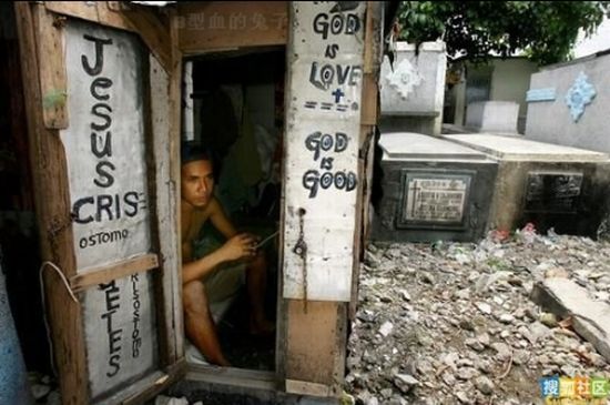 Life in the Cemetery (19 pics)