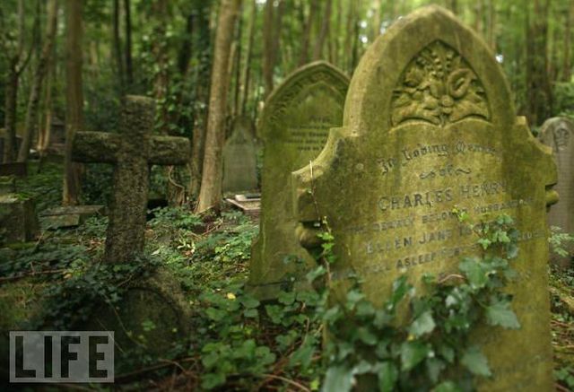 Odd and Rare Phobias (29 pics)