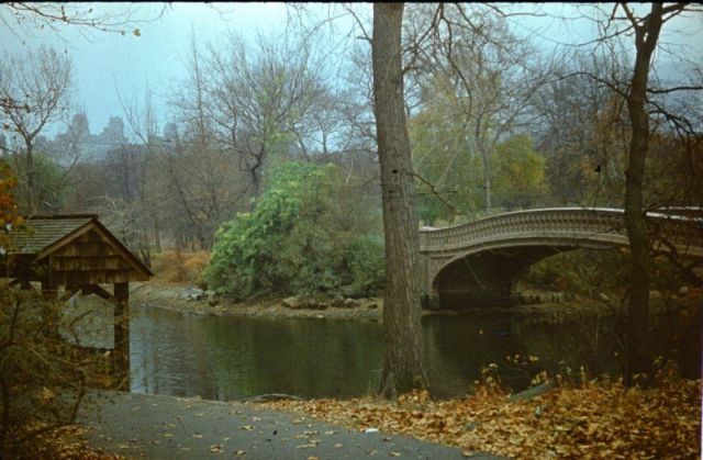 New York in 1978 (28 pics)