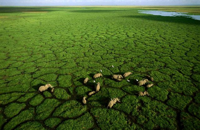 Extraordinary View From Above (51 pics)