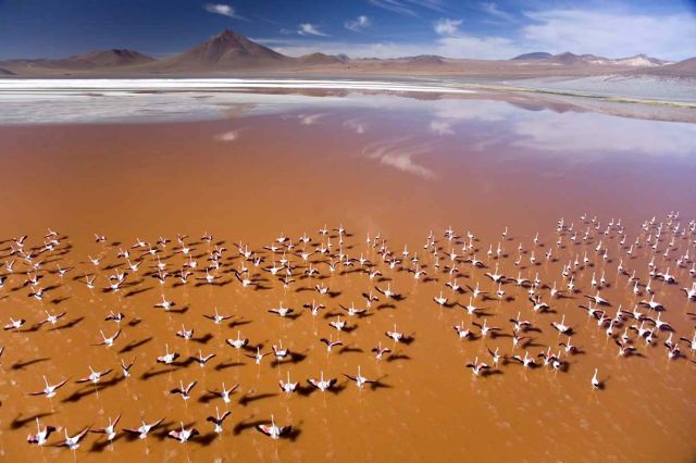Extraordinary View From Above (51 pics)