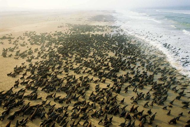 Extraordinary View From Above (51 pics)