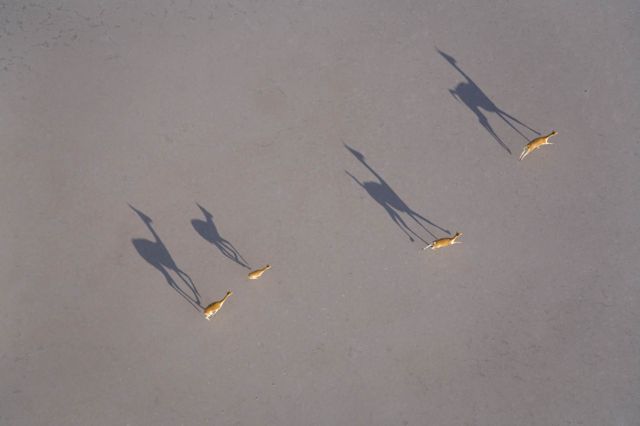 Extraordinary View From Above (51 pics)