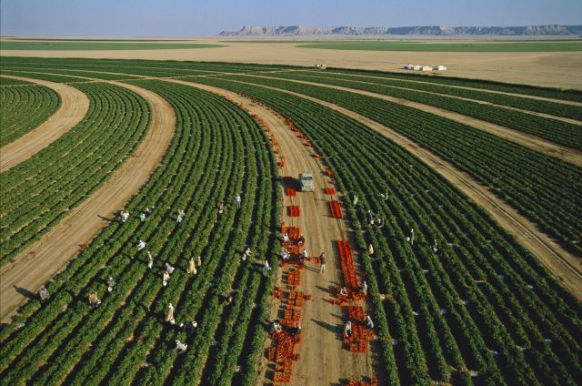 Extraordinary View From Above (51 pics)