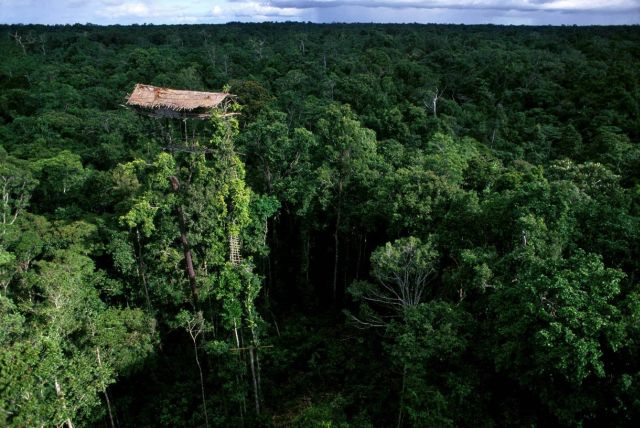 Extraordinary View From Above (51 pics)