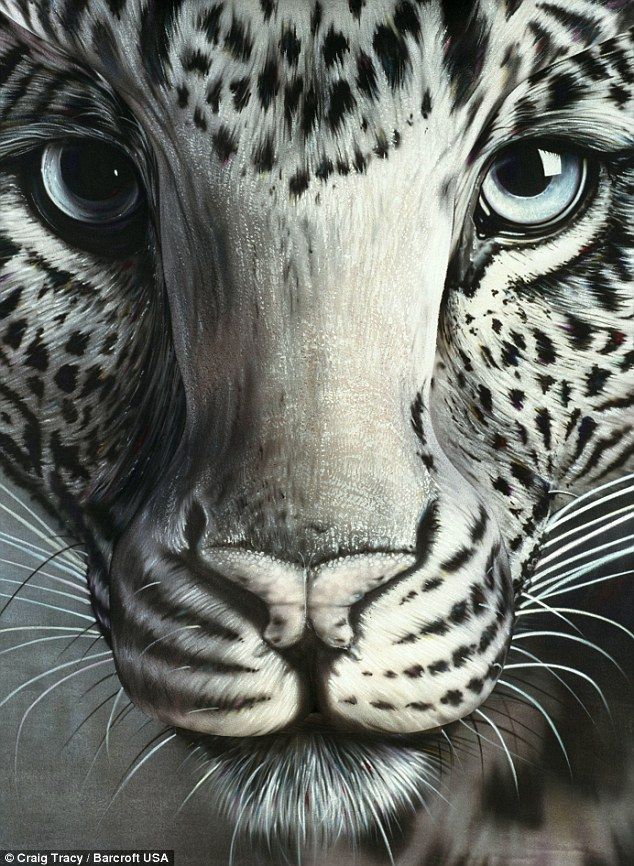Stunning Body Painting Art (17 pics)