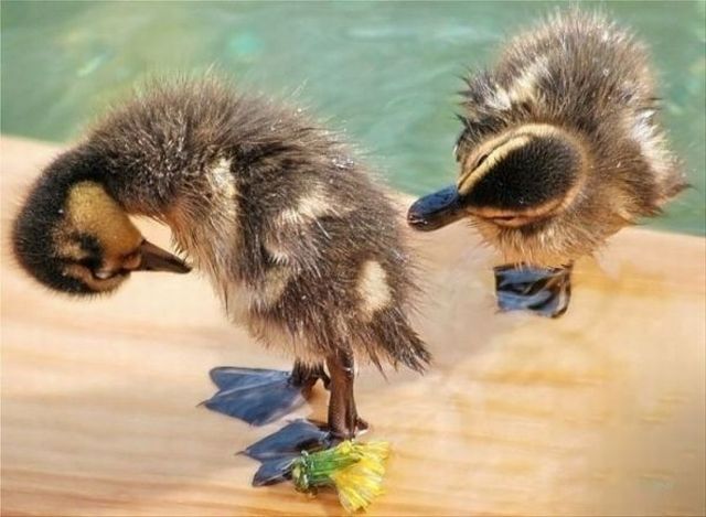 Daily picdump (106 pics)