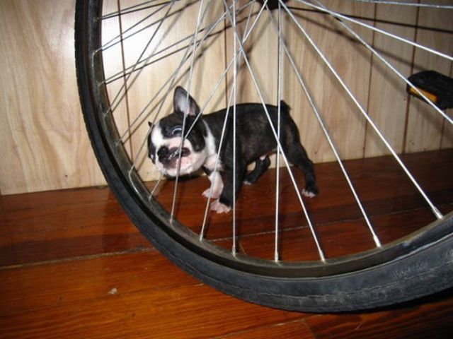 Daily picdump (106 pics)