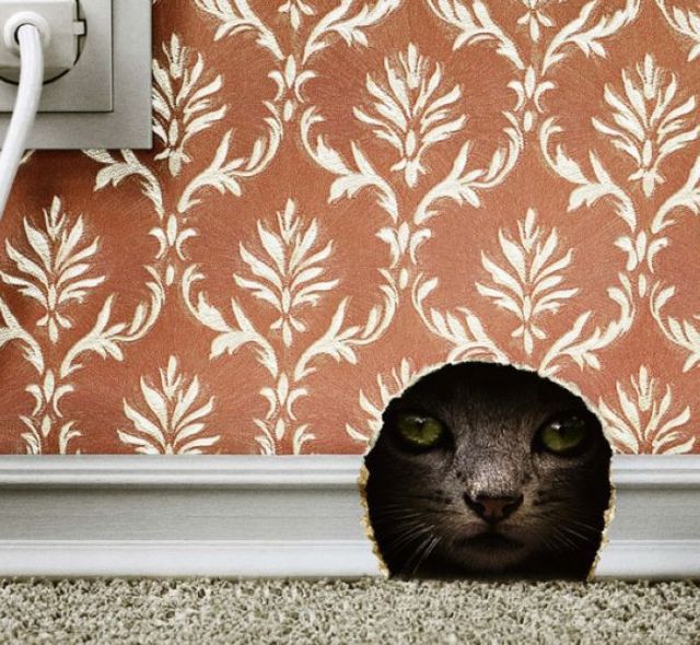 Daily picdump (106 pics)