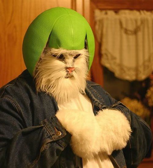 Daily picdump (106 pics)