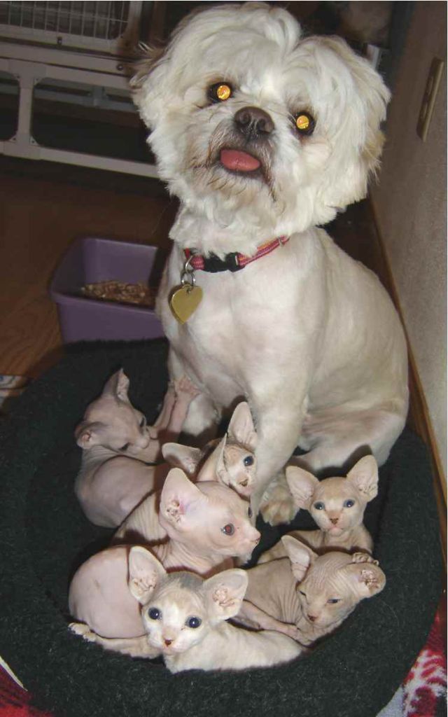 Daily picdump (106 pics)
