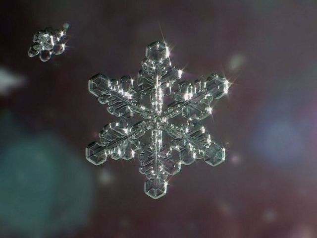 Great Macro Shots (39 pics)