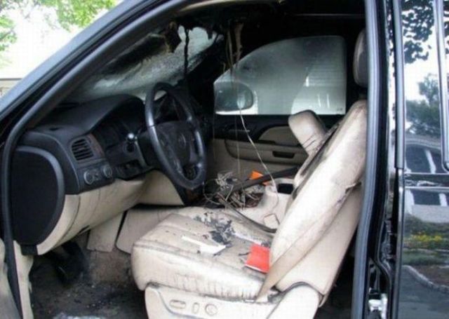 Short Circuit in the Car (5 pics)